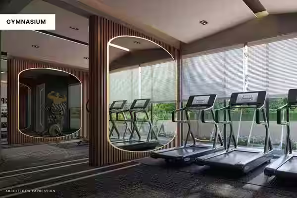Gymnasium